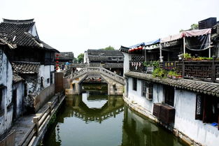 嘉興南湖與西塘越里一日游 江南水鄉的休閑時光